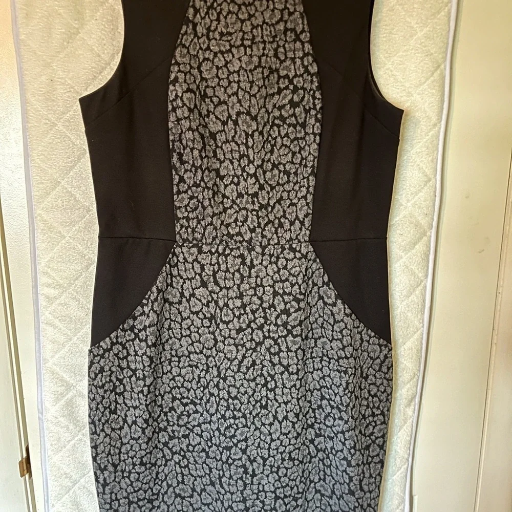 Ann Taylor Professional Dress. Size 10 - Picture 3 of 4